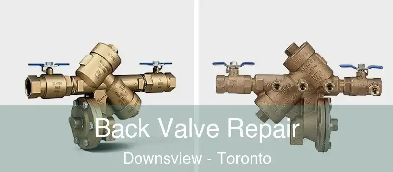  Back Valve Repair Downsview - Toronto