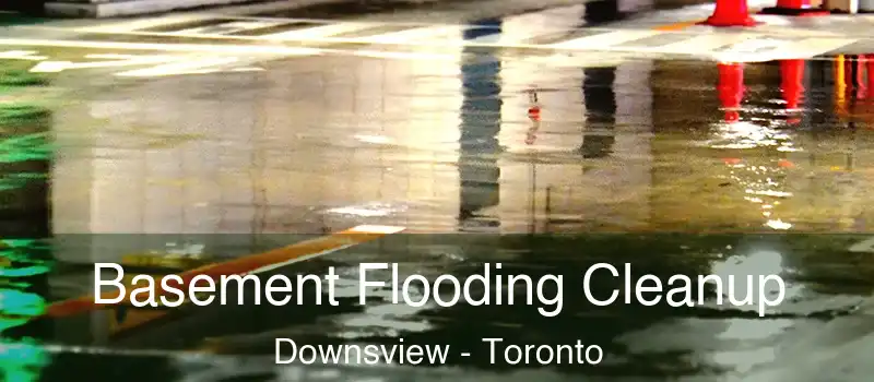  Basement Flooding Cleanup Downsview - Toronto