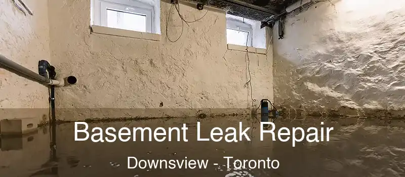  Basement Leak Repair Downsview - Toronto