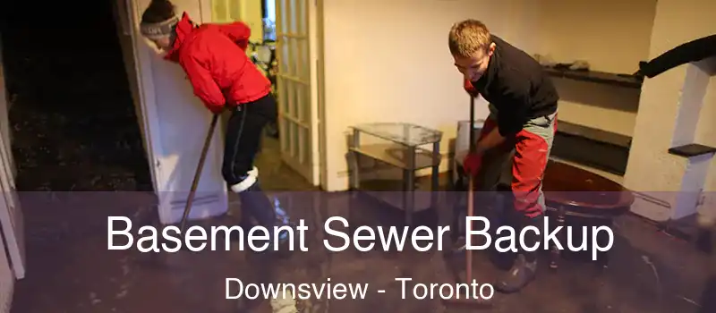  Basement Sewer Backup Downsview - Toronto