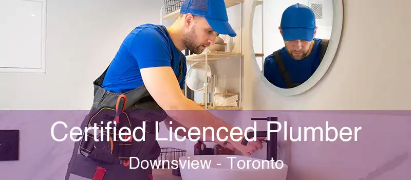  Certified Licenced Plumber Downsview - Toronto