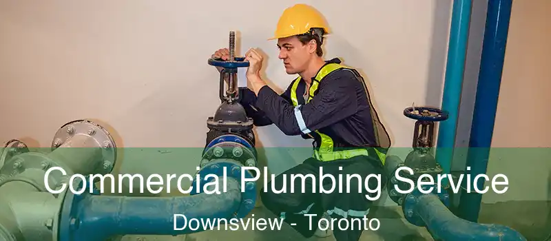  Commercial Plumbing Service Downsview - Toronto