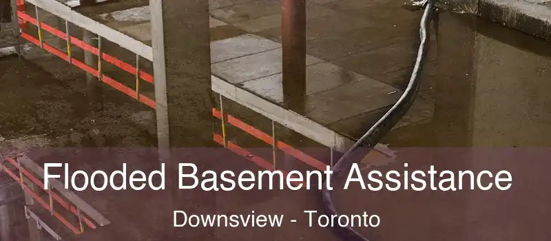  Flooded Basement Assistance Downsview - Toronto