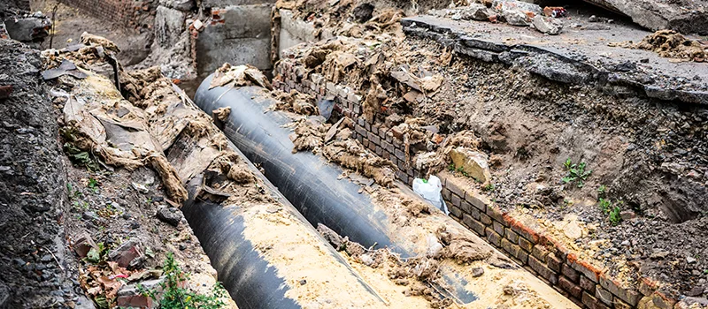 Commercial Sewer Tree Roots Damage Solutions in Downsview, Toronto