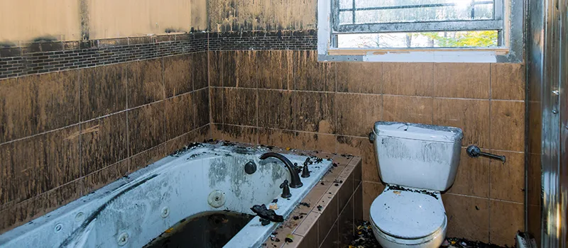 Residential Water Damage Restoration in Downsview, Toronto