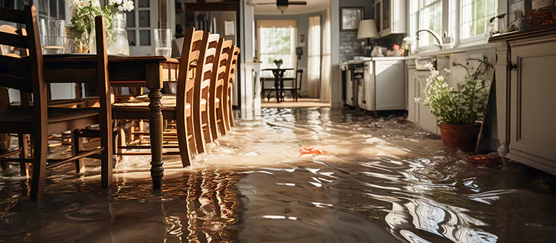 Flooded House Help Near Me in Downsview, Toronto