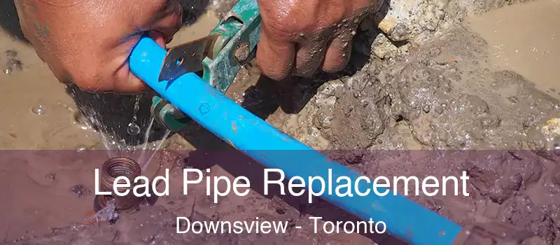  Lead Pipe Replacement Downsview - Toronto