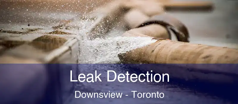  Leak Detection Downsview - Toronto