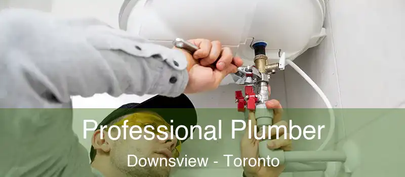  Professional Plumber Downsview - Toronto