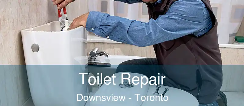  Toilet Repair Downsview - Toronto