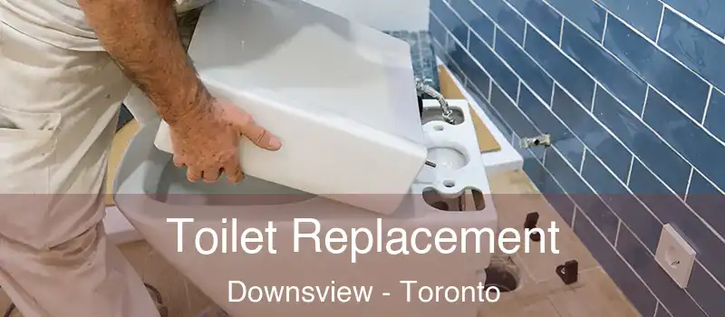  Toilet Replacement Downsview - Toronto