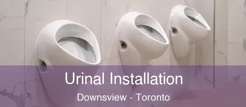  Urinal Installation Downsview - Toronto