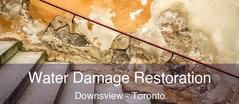  Water Damage Restoration Downsview - Toronto