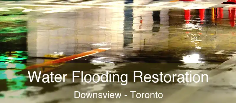  Water Flooding Restoration Downsview - Toronto
