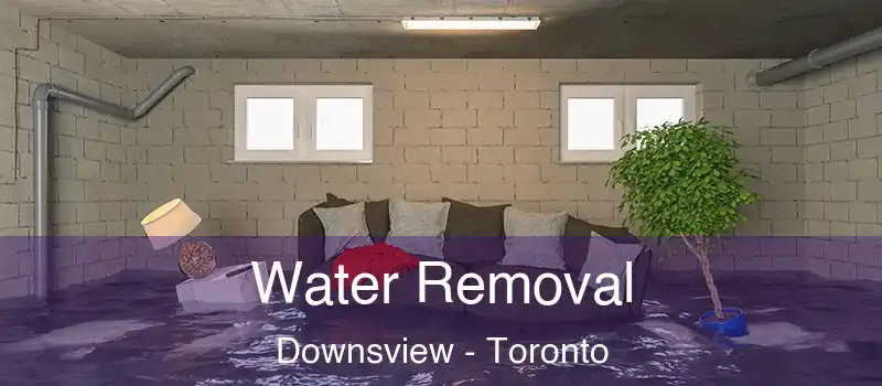  Water Removal Downsview - Toronto